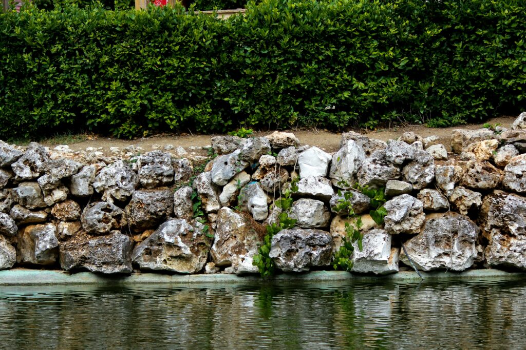 Rustic stone retaining wall by a pond, accented with adjacent green hedge.